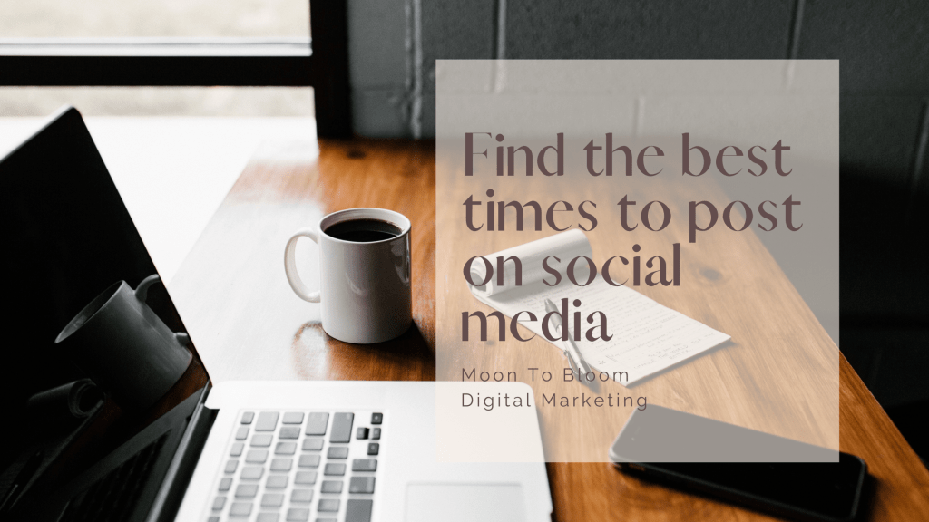 Find the best times to post on social media platforms. Blog made by Moon To Bloom Digital Marketing.
